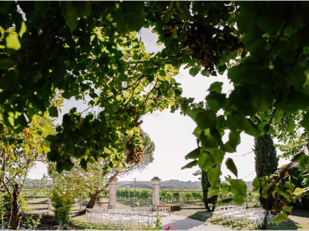 Paradis Des Vignes Birac  Esterno foto